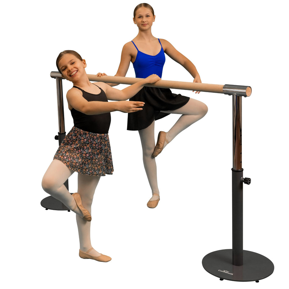 Two children using a freestanding portable ballet barre. One child is standing, and the other is sitting on the barre, both are wearing ballet outfits.