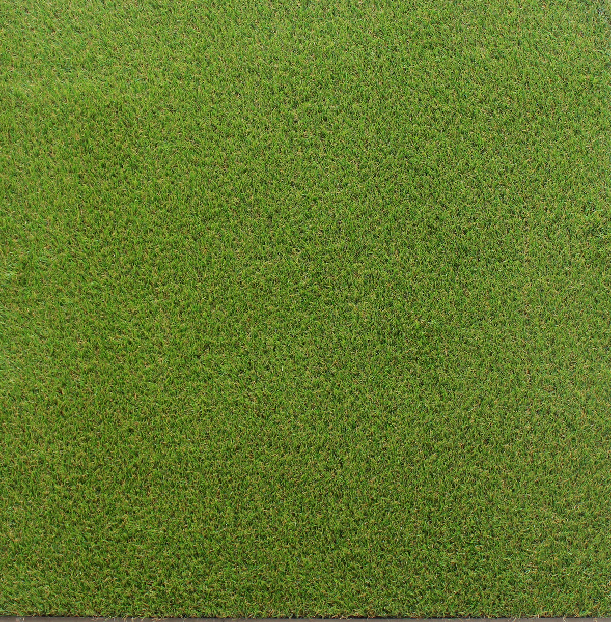 Artificial grass-topped rubber floor tile – top-down product view  
