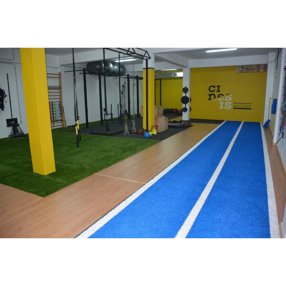 Gym Running and Sled Track 10m x 2m available in red, green or blue - Cannons UK